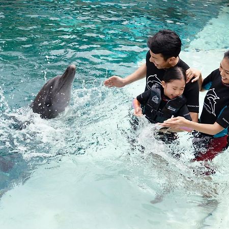 Resorts World Sentosa - Hotel Singapura Exterior foto Dolphin Interaction