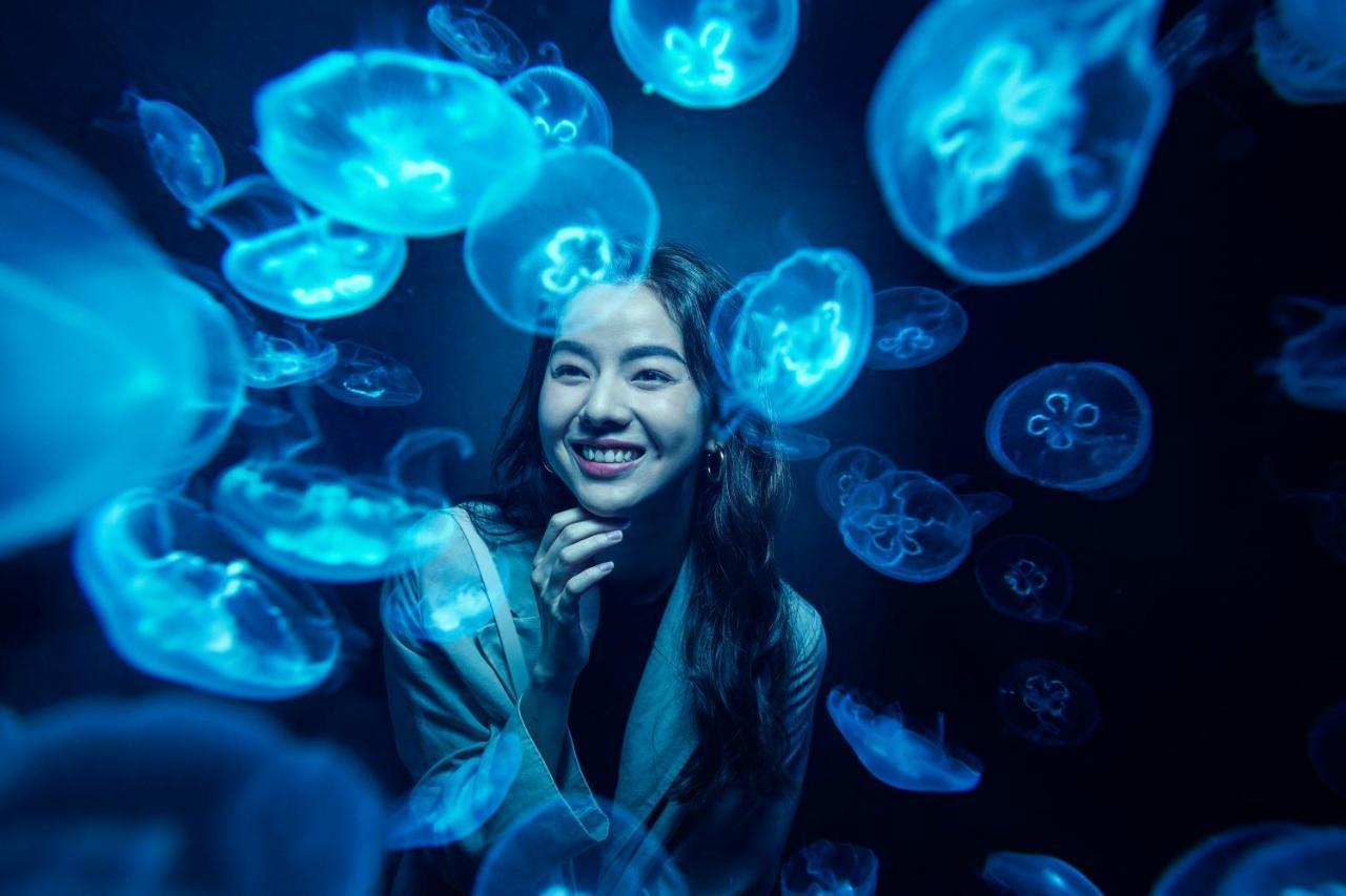 Resorts World Sentosa - Hotel Singapura Exterior foto A visitor at the aquarium