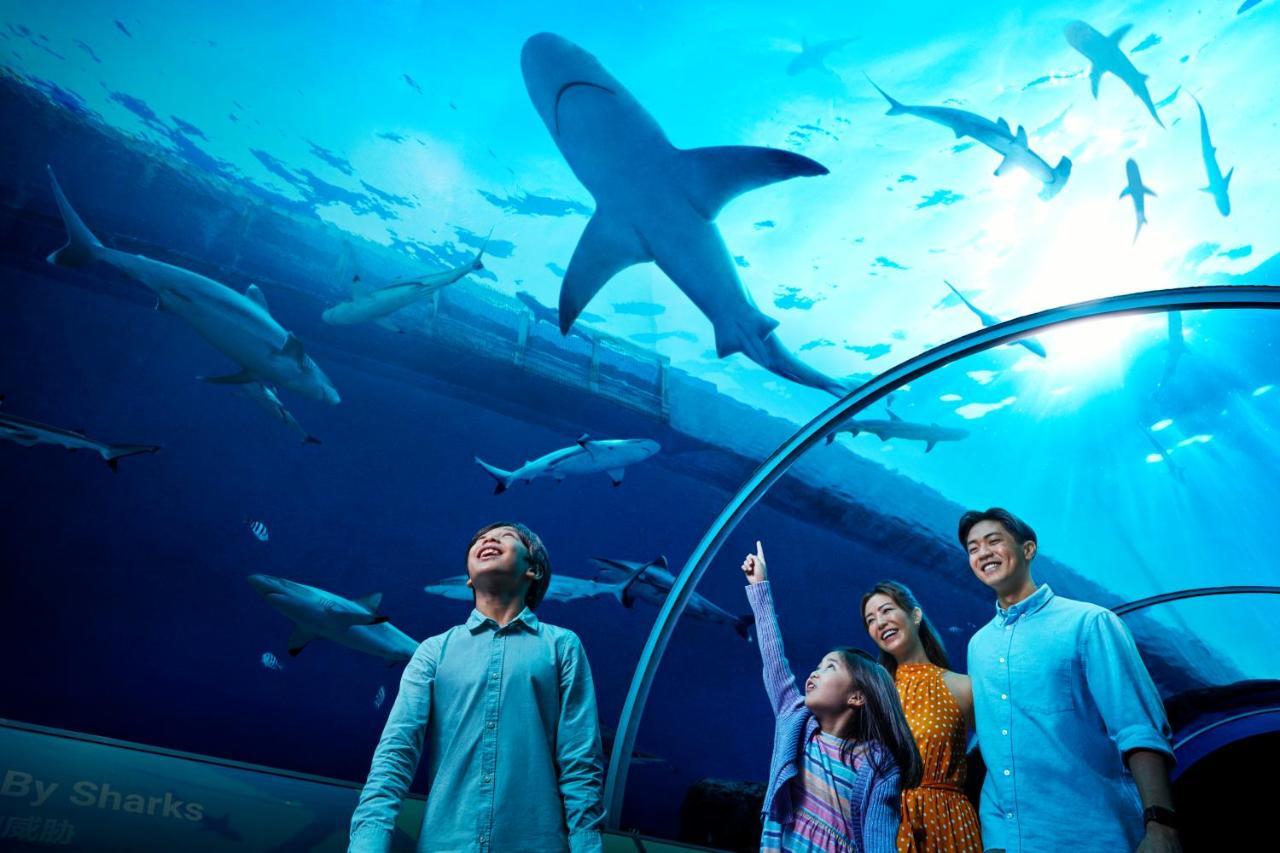 Resorts World Sentosa - Hotel Singapura Exterior foto The Lost Chambers Aquarium