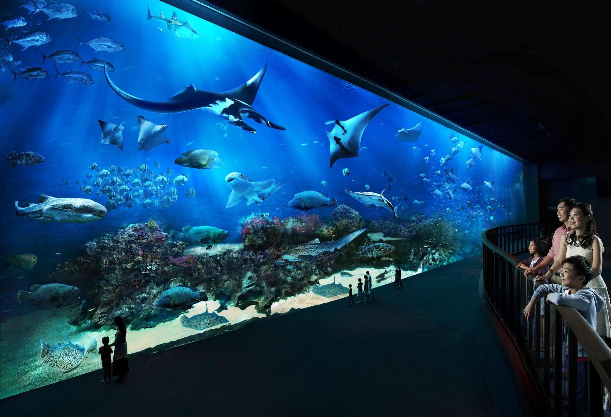 Resorts World Sentosa - Hotel Singapura Exterior foto The open ocean exhibit